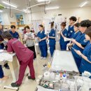 돌봄동물의료센터 이미지