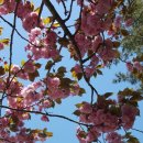 꾸지나무골 행복한 하우스 이미지