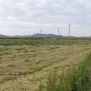 내양마을 이미지