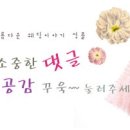 성플 이미지