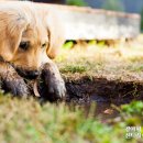 큰동네약국 이미지
