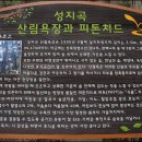 찬물샘약수터 이미지