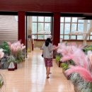 센텀사우나 | 부산 핫플 사우나 찜질방 센텀 스파랜드 후기(n번째방문)