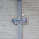 앙비떼네일 이미지