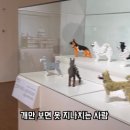 덕개 이미지