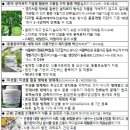 그린축산 이미지