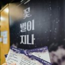 꽃,별이지나 이미지