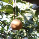 천주농장 이미지