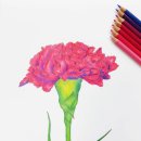 함께 그리는 색연필 일러스트 이미지