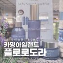 플로로도라 판교 현대백화점 팝업스토어 카밍아일랜드