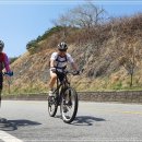 섬진강자전거길7 이미지