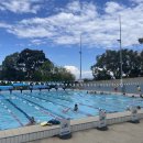 박스힐 | [호주 간호사 일상] 한화이글스 멜버른 스프링캠프 | 왕과 사는 남자 | 두쫀쿠 만들기