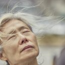예수정 카카오 검색결과