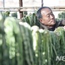 오산농원영농조합법인 뉴시스