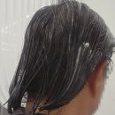 이당한의원 | 어려보이는 헤어디자인 "에이팩스 헤어살롱"후기