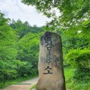 산 그리고 바다 42회차 정기산행 - 2025년 6월 14일 대덕산/야생화평원(강원 삼척) 이미지