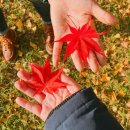 [써니의 느린여행]추억의 재구성 &#39;전주, 모련다원&#39;