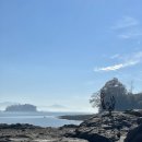 진남상회 이미지