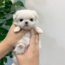 바라다 동물병원 이미지