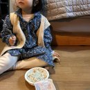 전남 글램핑_강진 큐브빌리지글램핑:시골 바이브 오션뷰 글램핑,솔직후기