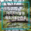 푸른나무수학교습소 | 비 오는 날 제주 실내 가볼만한곳 추천! 여미지식물원 솔직 후기