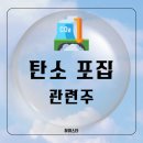 온실가스 탄소배출권 탄소포집 활용 저장 CCUS 관련주 에코바이오, 에어레인, 그린케미칼, 켐트로스...