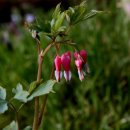 삽재농장 이미지