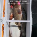 익투스 이미지
