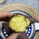 창바우농장 이미지