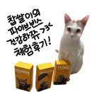 휴먼빈스