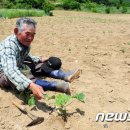 양구남면인력 이미지