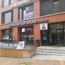 갱스터 도그 이미지