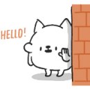 라온 디테일링 이미지