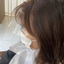 김미정헤어컷 | 매트염색 아눔 아눔헤어김미정