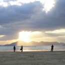 행복하 개 이미지