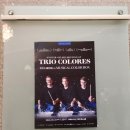 트리오 콜로레스 내한공연 | [공연후기] 트리오 콜로레스 Musical Color Box