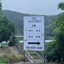 콩밭매는 강아지 이미지