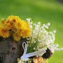 처갓집치킨 이미지