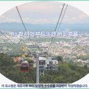 3859 | 핫야이 B2 핫 야이 부티크 앤 버짓 호텔 추천! 솔직 후기 &amp; 여행 꿀팁