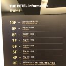 더펫텔 이미지