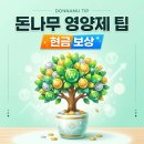 케이뱅크 돈나무 키우기 영양제 듬뿍 주고 10만원 받은 후기 (앱테크 추천)