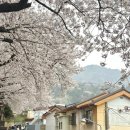 주례초등학교 이미지