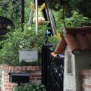 소아유치원 이미지