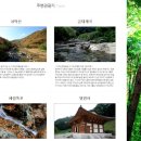 솔의향펜션 이미지