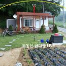 양사면-2 이미지