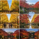 리츠칼튼여관 이미지