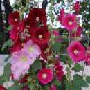 덕산장여관 이미지