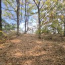 나성 필서봉 이미지