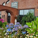 (주)더원렌트카 이미지