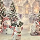 DOG깨비 강아지 미용실 이미지